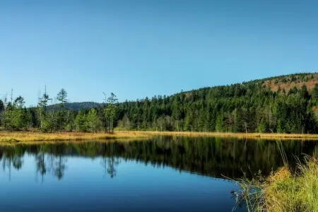 Le Chamois, Chalet à La Bresse près de forêt et lac - Photo 26