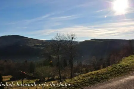 Le Chamois, Chalet à La Bresse près de forêt et lac - Photo 32