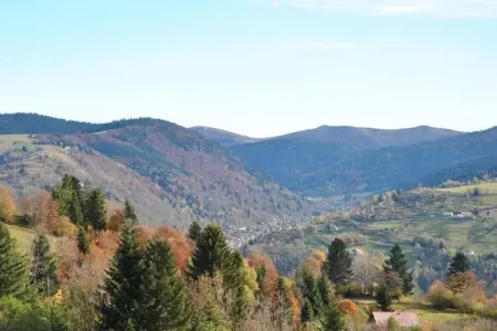 Le Chamois, Chalet à La Bresse près de forêt et lac - Photo 33