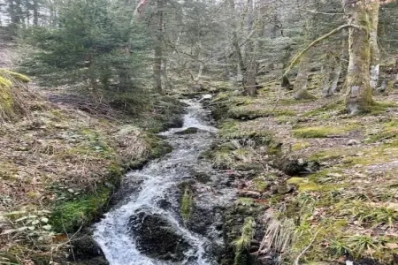 A l'Orée des Bois, Chalet à Ventron proche du télésiège - Photo 35