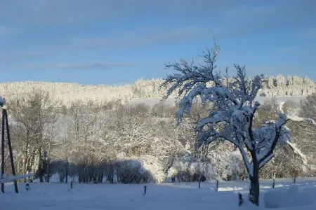 Le Dropt, Maison dans les Vosges près des Cascades - Photo 28