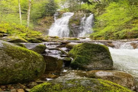 Le Dropt, Maison dans les Vosges près des Cascades - Photo 29