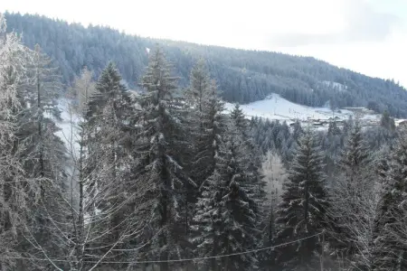 Les Chalets du Neune 13, Chalet à Gerardmer proche des pistes - Photo 27