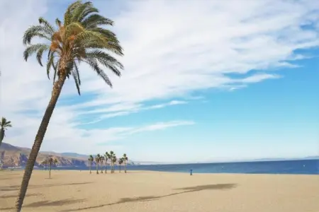 Moguima 1d, Appartement à Roquetas près de Plage - Photo 31
