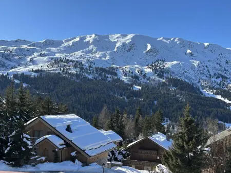 Appartement cosy 2 pièces, cabine, 5 pers, Méribel, près des pistes, animaux admis - Photo 18