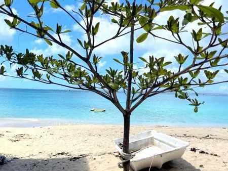 Studio Confort à Grand Case près Plage, Appartement 2 personnes à Saint Martin - Photo 20