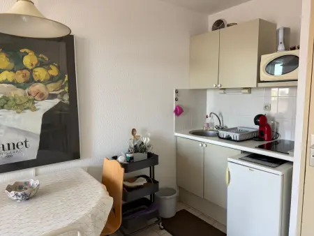 Studio climatisé Banyuls-sur-Mer avec parking, proche mer - Photo 8