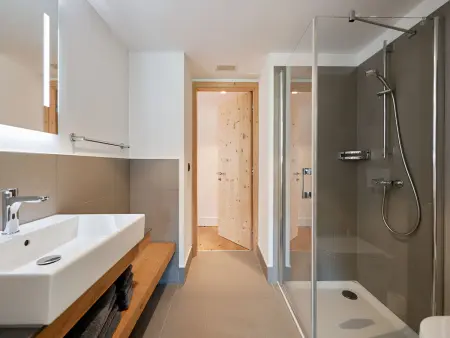 Catrina 2-Zimmer Standard Apartment, Appartement 4 personnes à Disentis - Photo 5