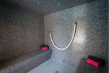 Wellnesscottage, Villa avec piscine à Erembodegem - Photo 26