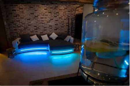 Wellnesscottage, Villa avec piscine à Erembodegem - Photo 29