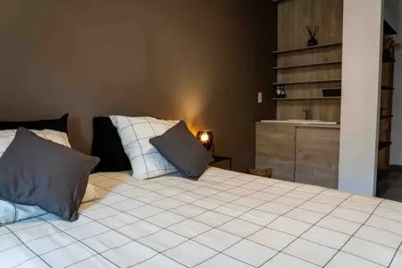 Wellnesscottage, Villa avec piscine à Erembodegem - Photo 42