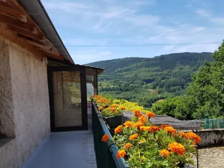 Gîte calme en Montagne Bourbonnaise, animaux admis - Photo 1
