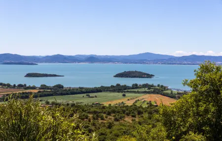 Maison 14 personnes à Castiglione Del Lago - Photo 6