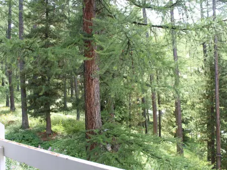 Studio Montagne Vars 4 Pers, 30m des Pistes, Proche Commerces, Tout Confort - Photo 12