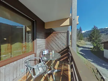 Studio ensoleillé avec balcon Sud, parking, navette, 4 couchages - Le Grand-Bornand - Photo 11