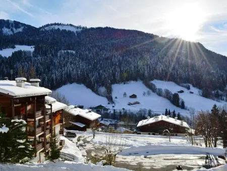 Studio ensoleillé avec balcon Sud, parking, navette, 4 couchages - Le Grand-Bornand - Photo 14