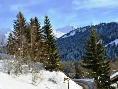 Studio ensoleillé avec balcon Sud, parking, navette, 4 couchages - Le Grand-Bornand - Photo 15