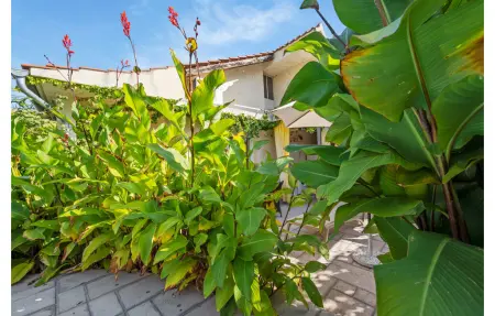 Maison 4 personnes à Brodarica - Photo 17