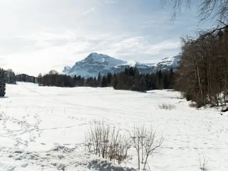 Studio 4 pers au pied des commerces, 450 m des pistes - Photo 8