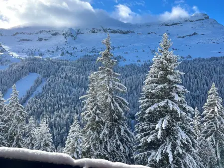 Studio rénové avec cabine à Flaine, balcon ensoleillé - Photo 8