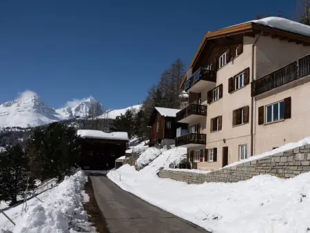 Chesa Anemona al Lej, Appartement 2 personnes à St. Moritz - Photo 28