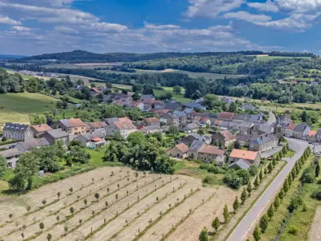 Gite du Bois, Maison de famille dans les Ardennes françaises - Photo 8