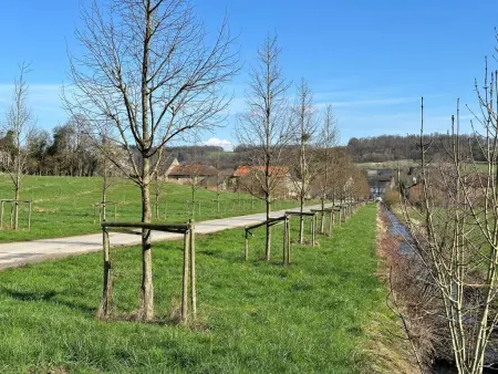 Gite du Bois, Maison de famille dans les Ardennes françaises - Photo 34