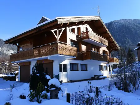 3 pièces à Morzine, skis aux pieds, animaux admis - Photo 14