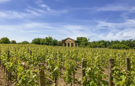 Maison 8 personnes à Jarnac - Photo 26