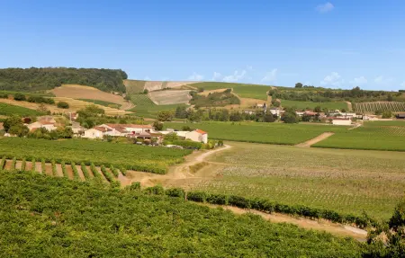 Maison 8 personnes à Jarnac - Photo 27