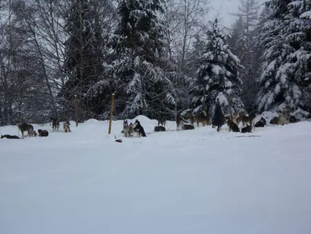 Studio cosy 2 pers avec terrasse, Barèges - Proche thermes et ski, navette gratuite - Photo 9