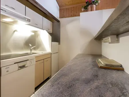 Spacieux appartement 3 pièces proche des pistes, animaux admis, parking - Photo 4