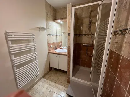 Appartement 1 Chambre, Garage, Proche Plage et Centre, 2 Étoiles, Sables-d'Olonne - Photo 10