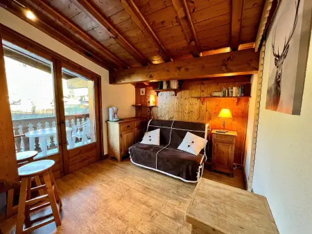 Chaleureux studio près des pistes avec parking et animaux acceptés - Photo 1