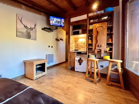 Chaleureux studio près des pistes avec parking et animaux acceptés - Photo 2