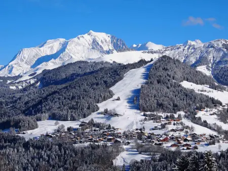 Chaleureux studio près des pistes avec parking et animaux acceptés - Photo 9