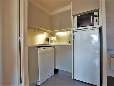 Appartement 2 pièces avec balcon et accès skis aux pieds, 5 personnes - Photo 3