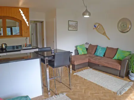 Studio lumineux pour 4 pers, animaux admis, wifi inclus, au centre de Samoëns - Photo 4