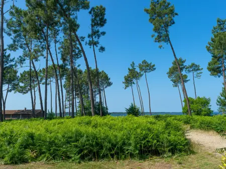 Les Cottages du Lac M4 Privilège, Maison 6 personnes à Parentis en Born - Photo 14