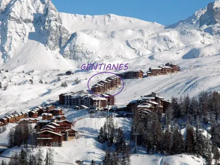 Beau duplex calme, animaux admis, au pied des pistes - Photo 16