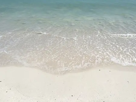 Duplex de Vacances à Saint-Martin avec Vue Mer, Appartement 4 personnes à Saint Martin - Photo 26