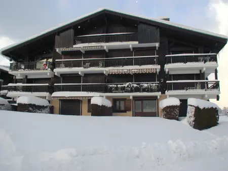 Appartement cosy 1 chambre à Megève, animaux admis - Photo 8