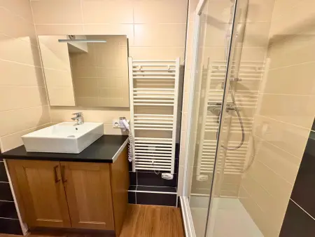 Appartement cosy 4 pers, animaux admis, proche pistes - Photo 3