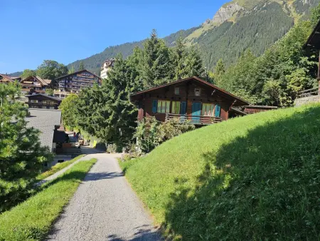 Elisabeth, Chalet 2 personnes à Wengen - Photo 18