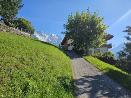 Elisabeth, Chalet 2 personnes à Wengen - Photo 20