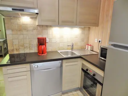 Au pied des pistes, 3 pièces, animaux admis, Appartement 6 personnes à Les Deux Alpes - Photo 2