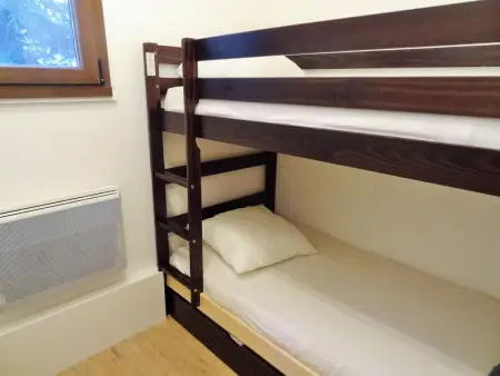 Au pied des pistes, 3 pièces, animaux admis, Appartement 6 personnes à Les Deux Alpes - Photo 5