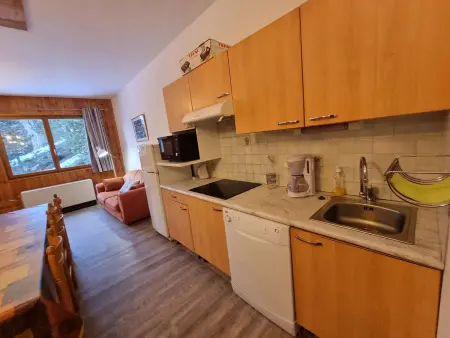 Appartement spacieux pour 10 pers, à 100m des pistes, Wifi gratuit, animaux admis - Saint-Michel-de-Chaillol - Photo 2