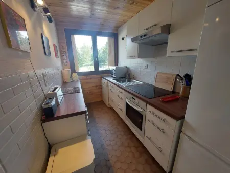 Appartement cosy style montagne - 6 pers, animaux admis, proche pistes - Les Deux Alpes - Photo 2