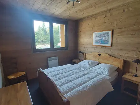 Appartement cosy style montagne - 6 pers, animaux admis, proche pistes - Les Deux Alpes - Photo 9